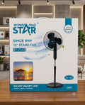 Abanico Star NB2374