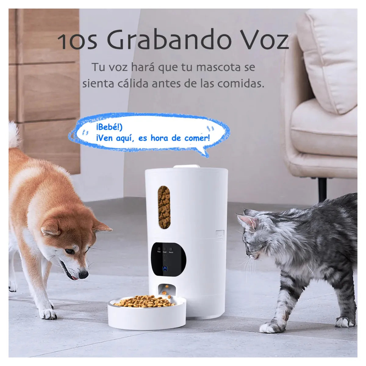 Alimentador de Mascotas